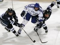 IM电竞官网入口-双城记，乔治德甲封神夜，篮网压制广厦的战术启示