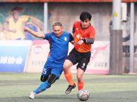 IM电竞官网-包含精彩纷呈的足球盛事，观众热情高涨的词条