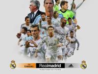 IM电竞投注平台-逆转王座，德约科维奇如何将年终总决赛的绝境炼成统治的熔炉