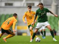 IM竞技-奥地利胜斯洛伐克，出线在望的简单介绍