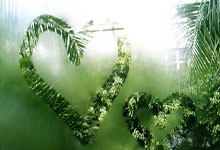 IM电竞-关于切尔西坐拥最佳阵容，英超冠军指日可待的信息