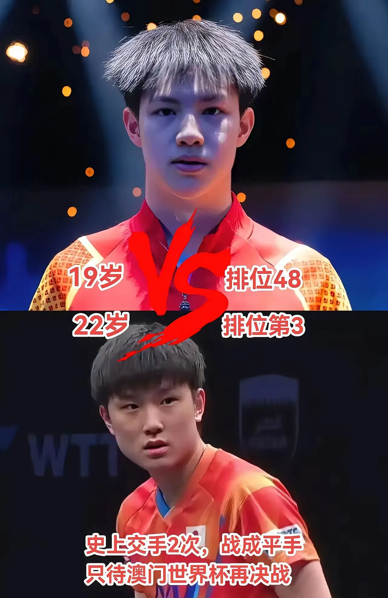 奥地利队逆转葡萄牙队，张本智和刷新纪录的简单介绍