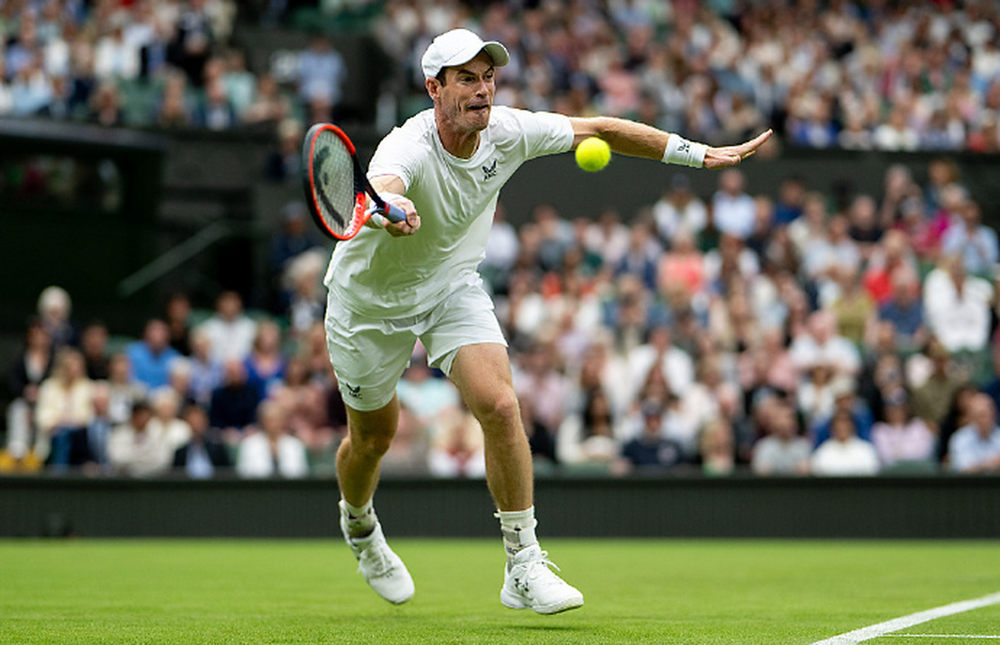 戴维斯杯轻取澳网，穆雷状态火热的简单介绍